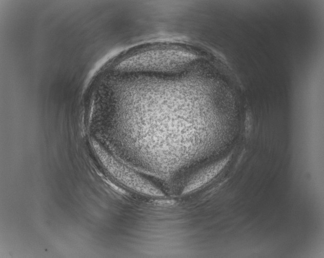 X0000076061310200610201938