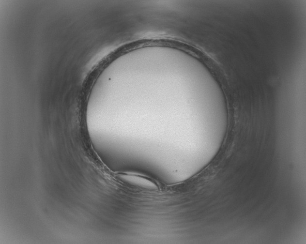 X0000076061311200610201938