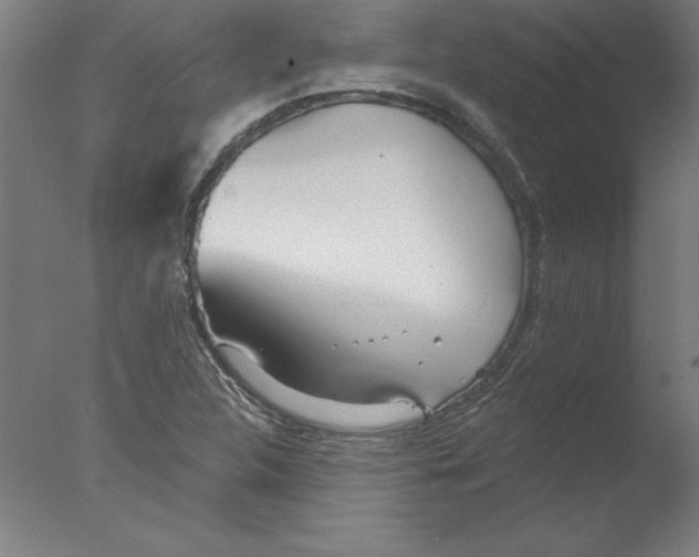 X0000076061312200610201938