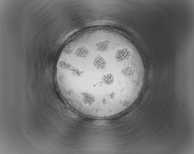 X0000076061313200610201938