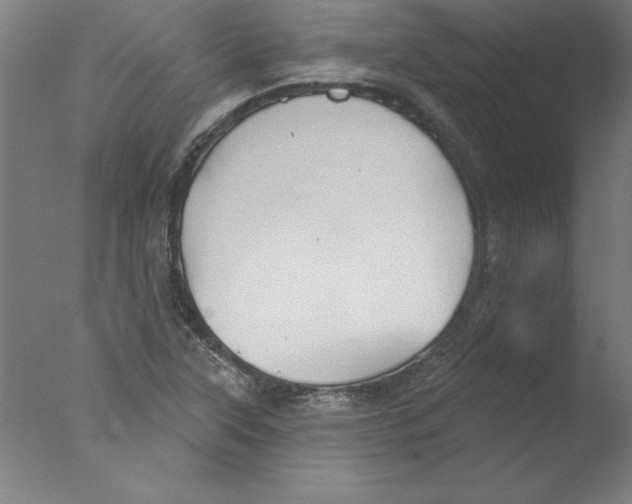 X0000076061315200610201938