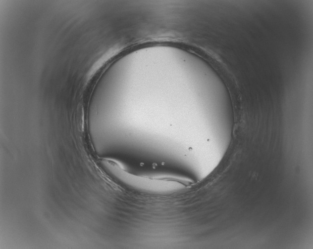 X0000076061317200610201938