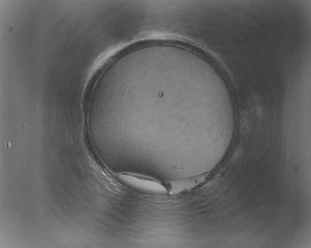 X0000076061319200610201938