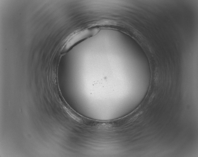 X0000076061321200610201938