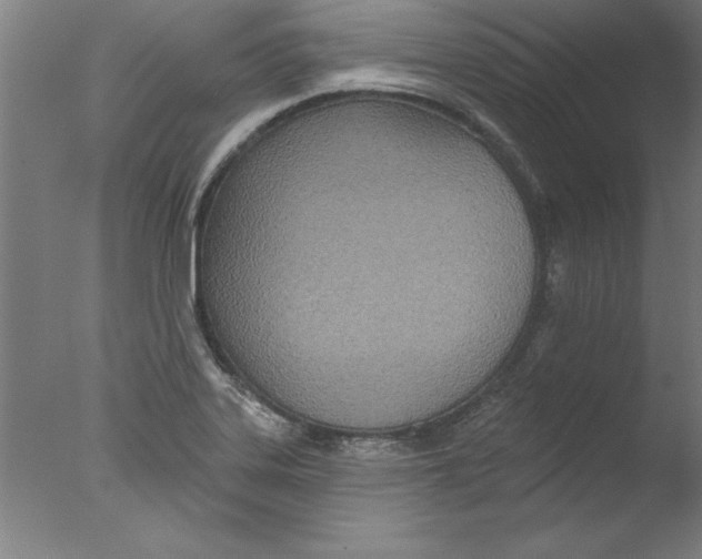 X0000076061323200610201938