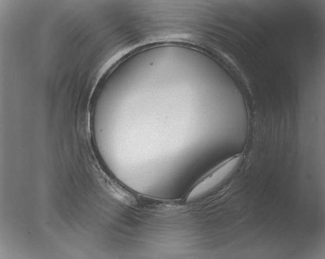 X0000076061324200610201938