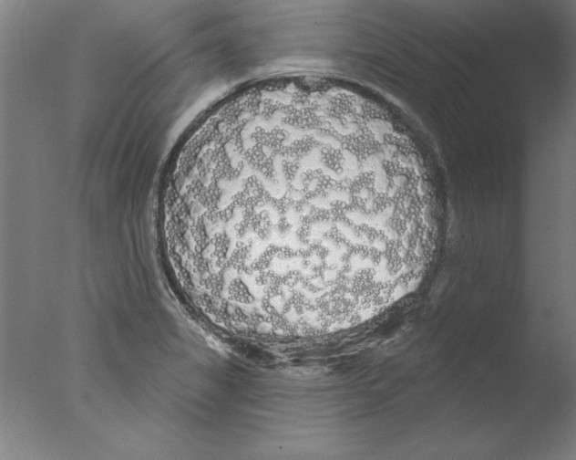 X0000076061325200610201938