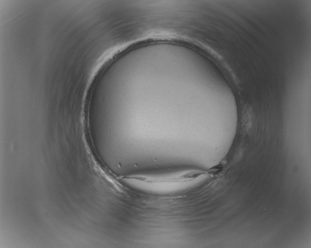 X0000076061327200610201938