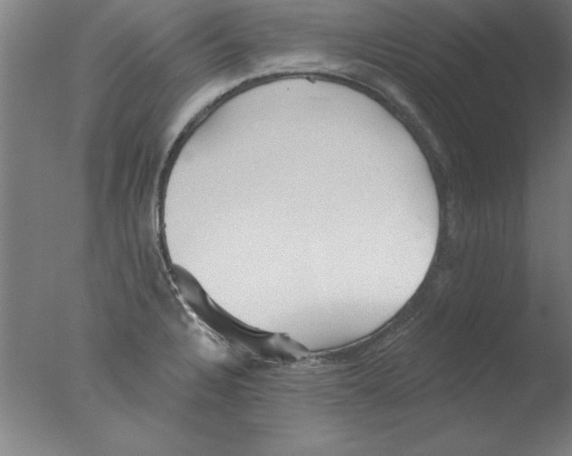 X0000076061328200610201938