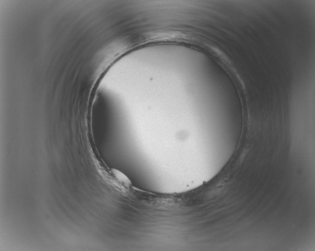 X0000076061330200610201938