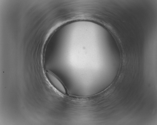 X0000076061334200610201938