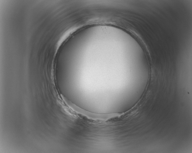 X0000076061336200610201938