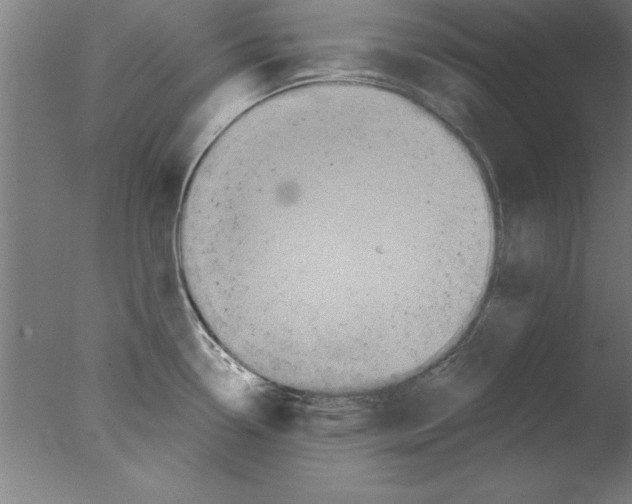 X0000076061338200610201938