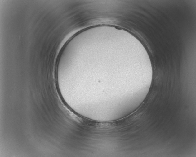 X0000076061339200610201938