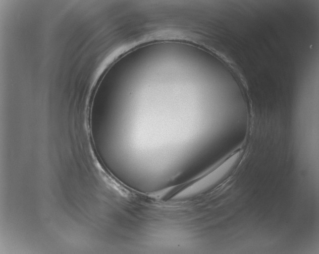 X0000076061342200610201938