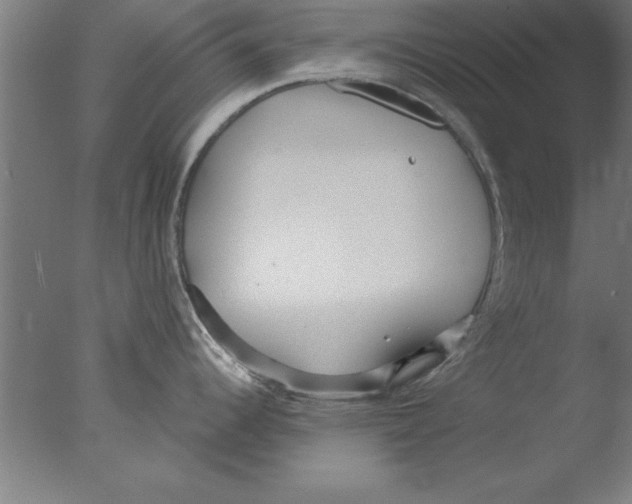 X0000076061344200610201938