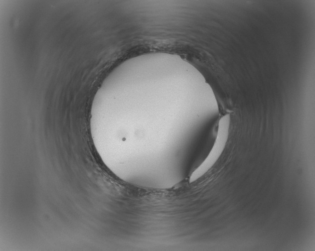 X0000076061345200610201937