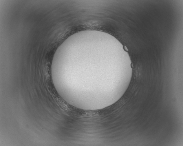 X0000076061346200610201937