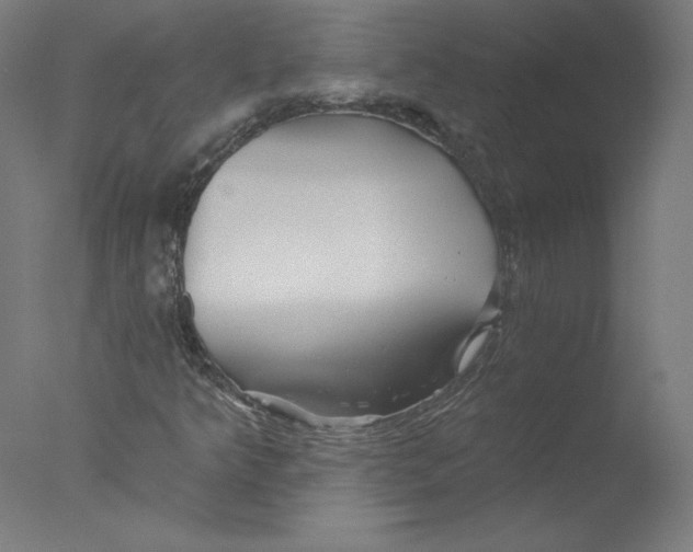 X0000076061349200610201937