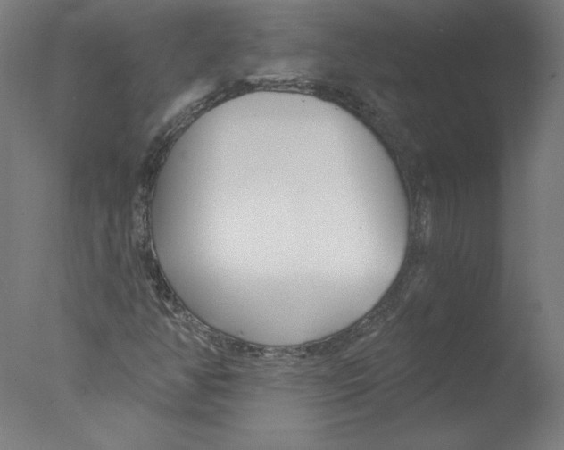 X0000076061350200610201937