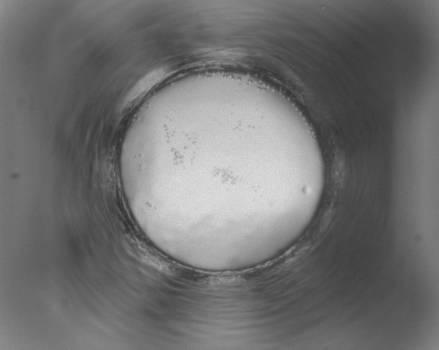 X0000076061354200610201937