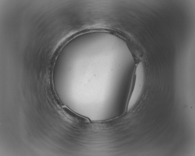 X0000076061356200610201937