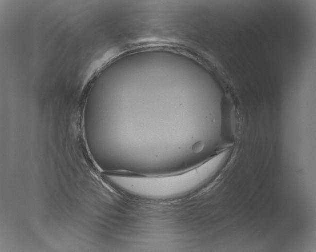 X0000076061357200610201937