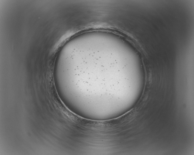 X0000076061359200610201937