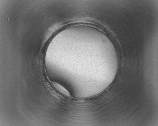 X0000076061360200610201937