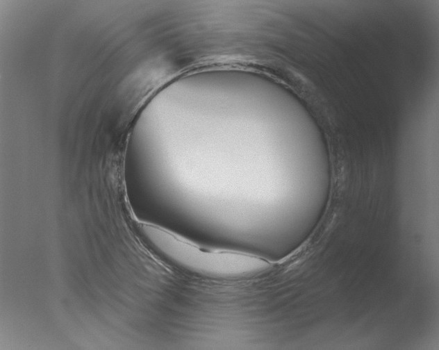 X0000076061361200610201937