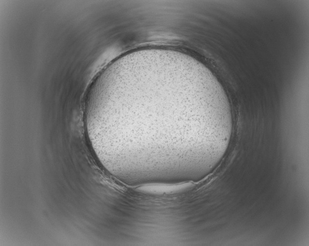 X0000076061362200610201937