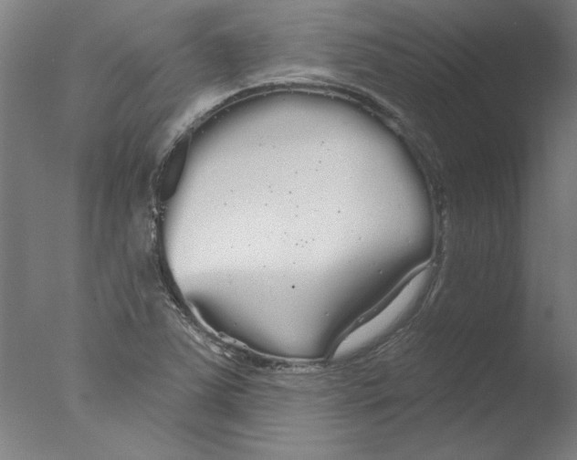 X0000076061363200610201937