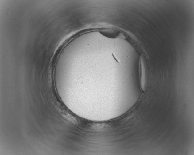 X0000076061364200610201937