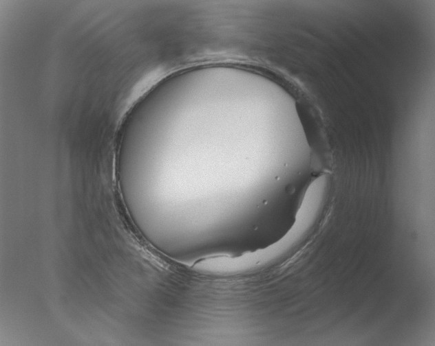 X0000076061365200610201937