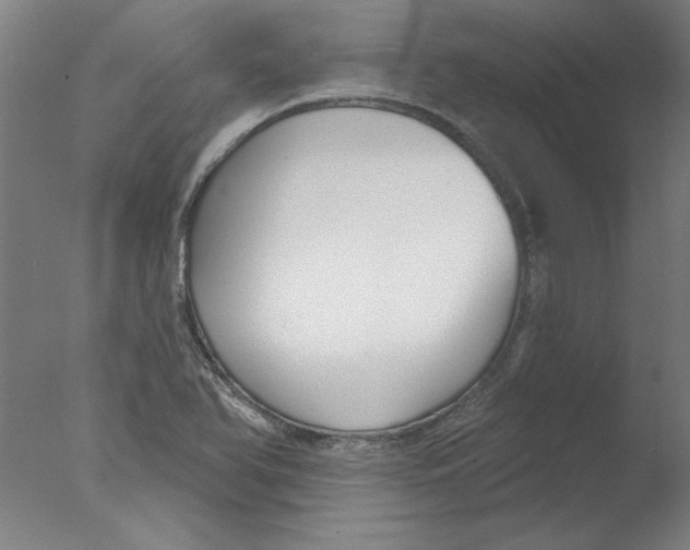 X0000076061366200610201937