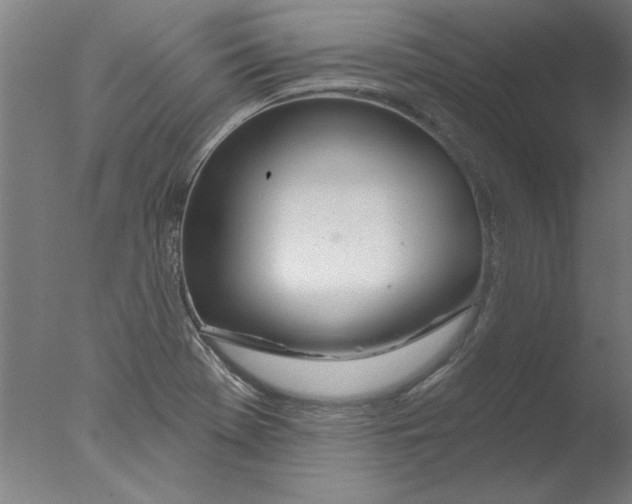 X0000076061369200610201937