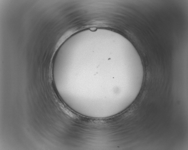 X0000076061370200610201937