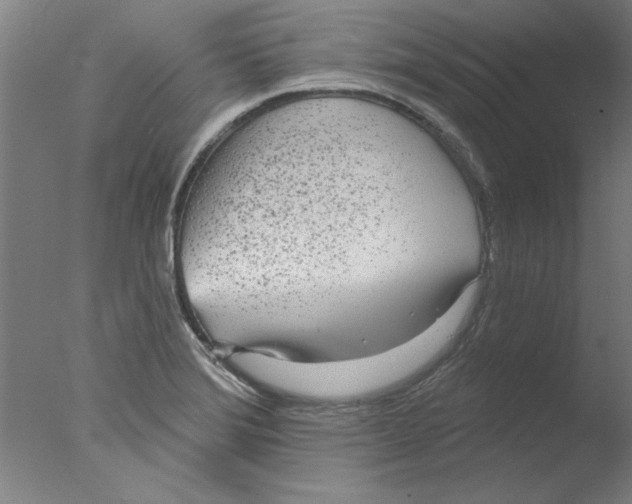 X0000076061372200610201937