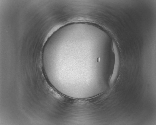 X0000076061374200610201937