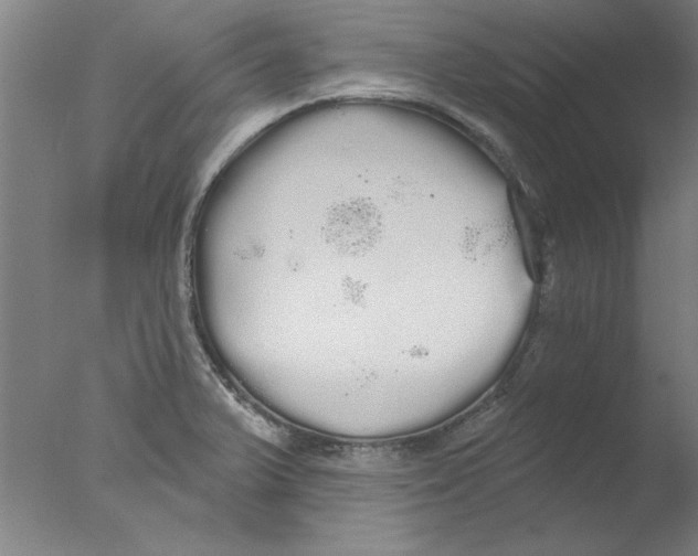 X0000076061375200610201937