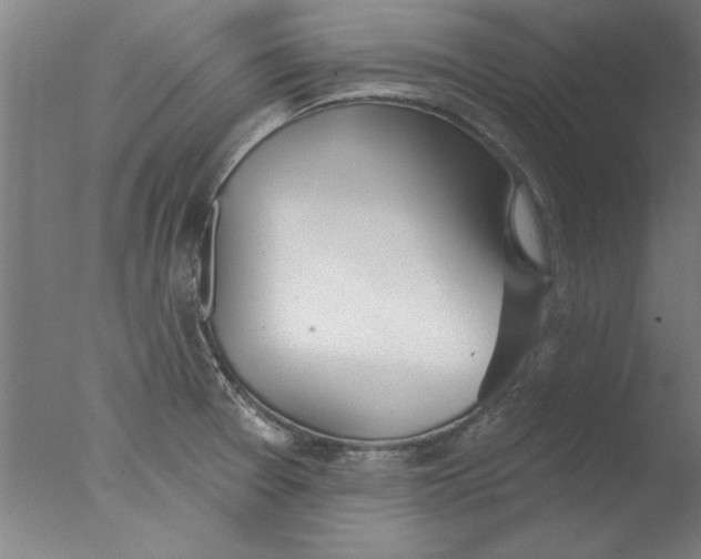 X0000076061377200610201937