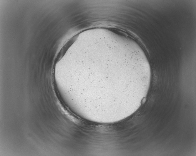 X0000076061379200610201937