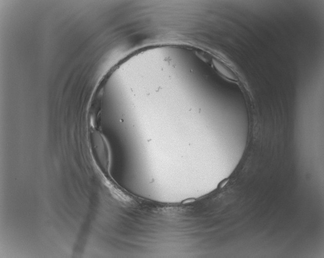 X0000076061380200610201937