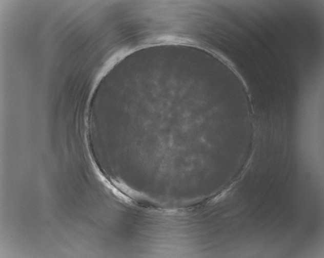 X0000076061381200610201937