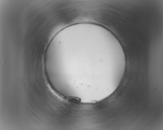 X0000076061382200610201937