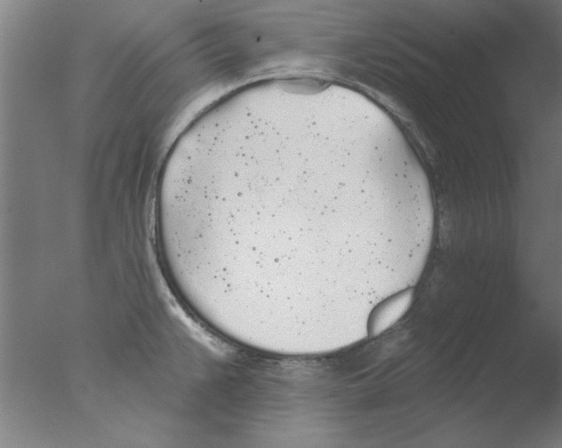 X0000076061383200610201937