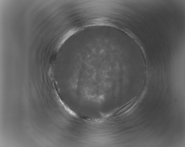 X0000076061385200610201937