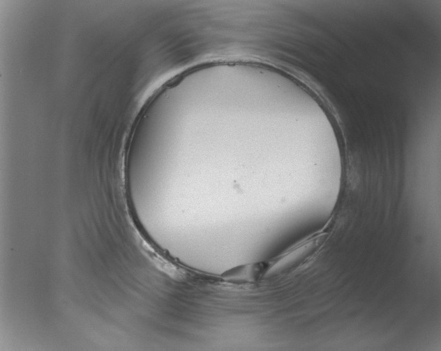 X0000076061388200610201937