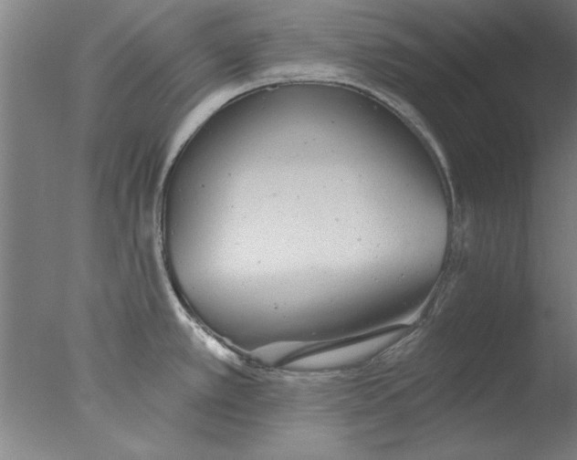 X0000076061389200610201937