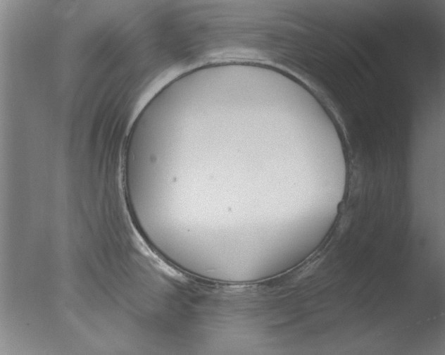 X0000076061390200610201937